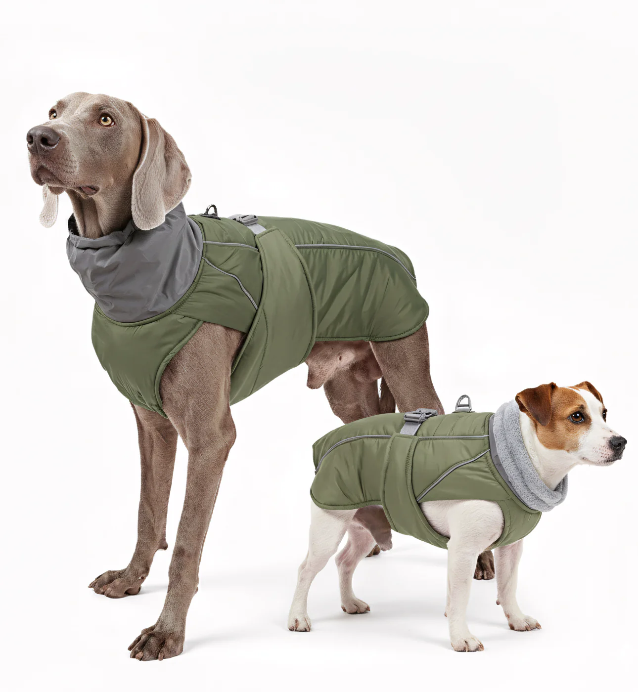 Manteau d’hiver imperméable pour chien – Col réfléchissant & doublure polaire – Image 5