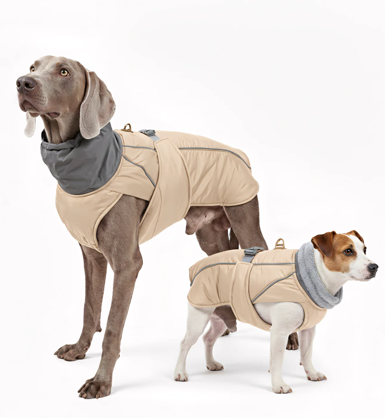 Manteau d’hiver imperméable pour chien – Col réfléchissant & doublure polaire – Image 6