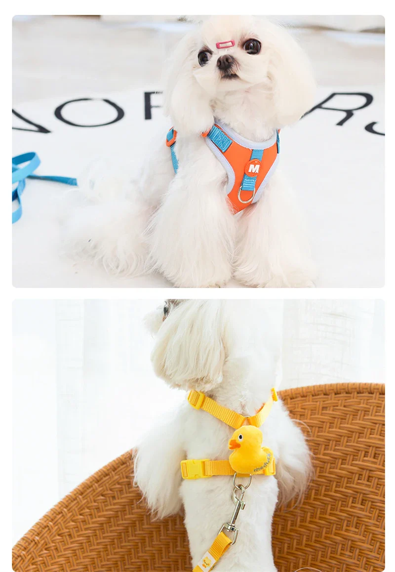 Collier de cou réglable pour animaux de compagnie, harnais pour chiot, gilet en Polyester – Image 4