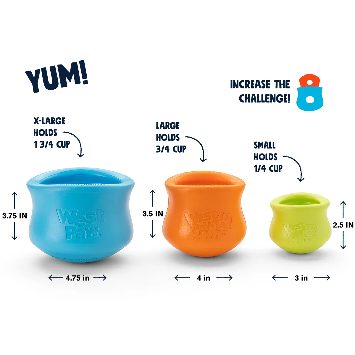 Toppl Interactif - West Paw – Image 5